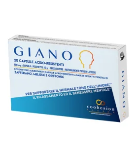 GIANO 20 Compresse Acido Resist.