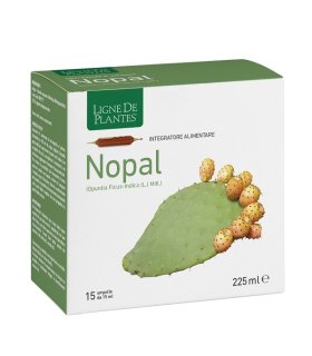 NOPAL 15 Amp.15ml NSE NOPAL 15 Amp.15ml NSE