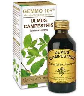 OLMO CAMP 100ml Analc.Gemme10+