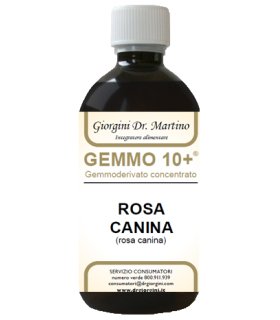 ROSA CANINA Anal.Gemmo10+500ml