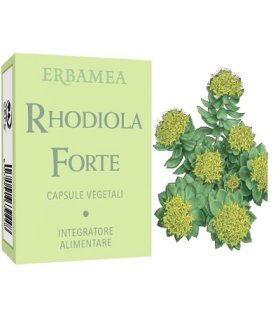 RHODIOLA Forte 24 Capsule EBM