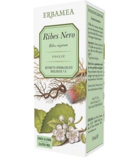 RIBES NERO 50ml EBM