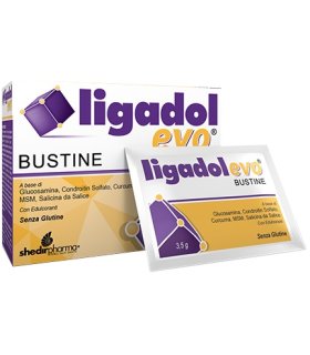 LIGADOL EVO 20 Bust.