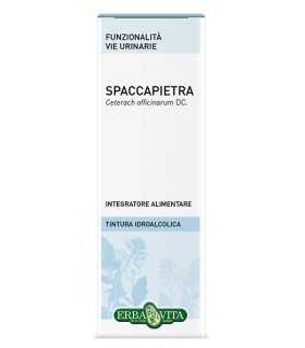 SPACCAPIETRA Tint.Ial.50ml EBV