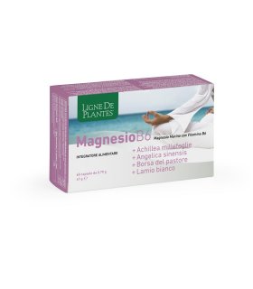 LIGNE MG B6+ACH+ANG+PAST+LAM