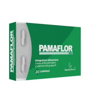 PAMAFLOR*100 20 Capsule