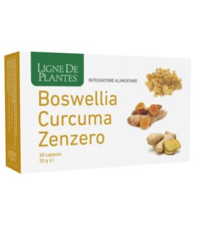 BOSWELLIA/CURC/ZENZ.60Cps NSE