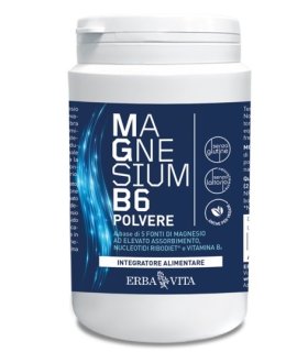 MAGNESIUM B6 Polv.200g     EBV