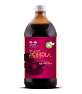 ACEROLA BIO SUCCO SALUGEA500ML ACEROLA BIO SUCCO SALUGEA500ML