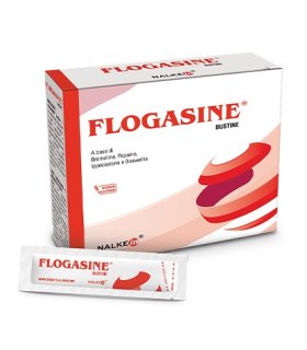 FLOGASINE 20 Bust.1,5g