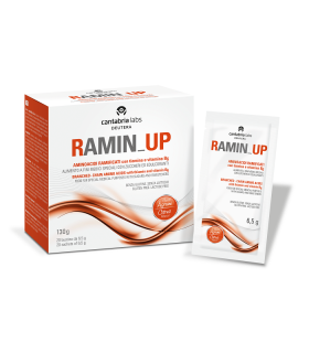 RAMIN UP 20 Bust.Agrumi 6,5g