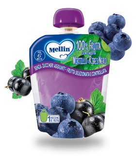 MELLIN Pouch Mirtillo-Ribes90g