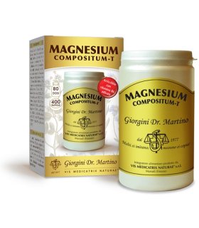 MAGNESIUM Comp-T 400Past.500mg