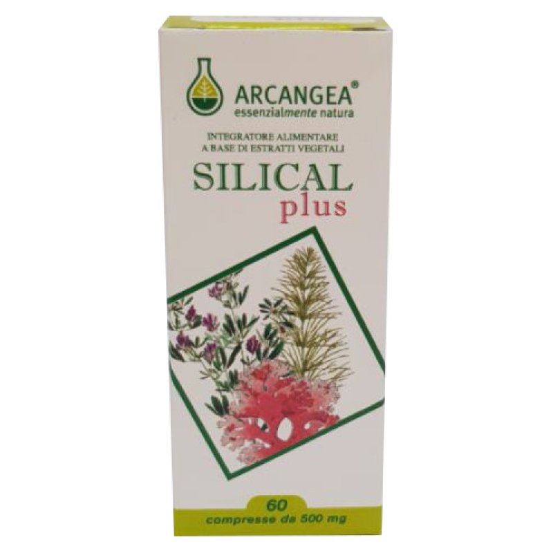 SILICAL PLUS 60CPR SILICAL PLUS 60CPR