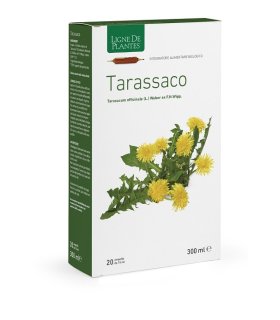 TARASSACO BIO 20ABl 15ml
