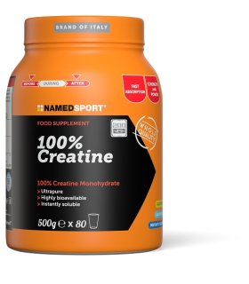 CREATINA 100% 500g NAMED