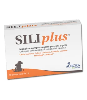 SILIPLUS 30 Cpr 1g
