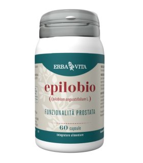 EPILOBIO 60 Cps 500mg      EBV