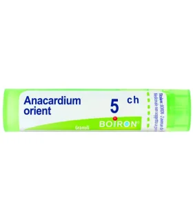 BO.ANACARDIUM OR.Tubo  5CH