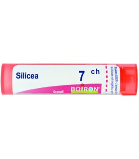 BO.SILICEA Tubo  7CH