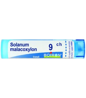 BO.SOLANUM MALAC.Tubo  9CH