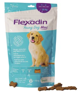 FLEXADIN Young Maxi  60 Tav.
