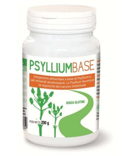 PSYLLIUM BASE Polv.200g