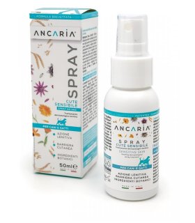 ANCARIA Loz.Spray 50ml