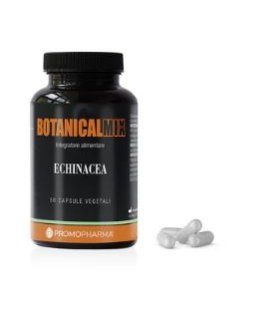 ECHINACEA 50 Capsule