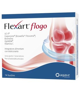 FLEXART Flogo 14*Bust.