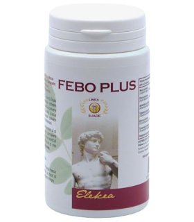 FEBO PLUS 100 Capsule