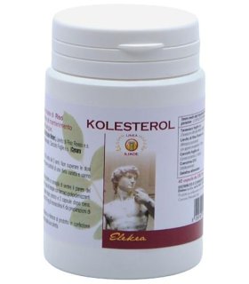 KOLESTEROL 40 Capsule