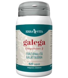 GALEGA 60 Cps 450mg        EBV