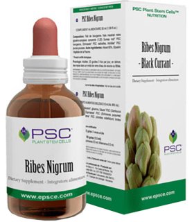 PSC RIBES NIGRUM Gocce 15ml FVT