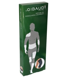 GIBAUD-ORT.Artigib3D*Ginocc.2