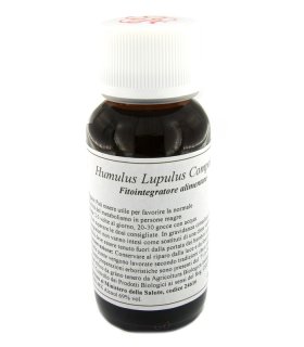 LVS 02S Humulus Lupulus Comp.