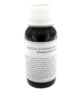 LVS 06N Angelica Arch.Comp.