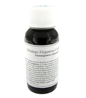 LVS 07N Solidago Virg.Comp.