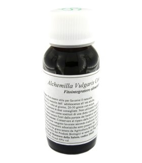 LVS 19N Alchemilla Vulg.Comp.