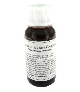 LVS 41N Equisetum Arv.Comp.