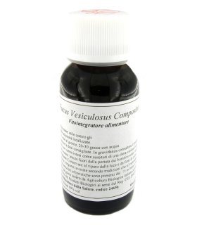 LVS 42S Fucus Vesic.Comp.60ml