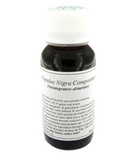 LVS 43N Populus Nigra Comp.