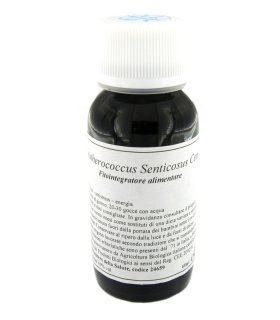 LVS 45C Eleuterococco Comp.