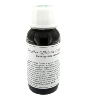 LVS 64N Zingiber Off.Comp.