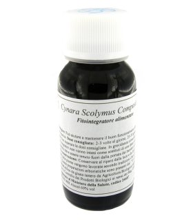 LVS 87C Cynara Scoly Cauli Cmp