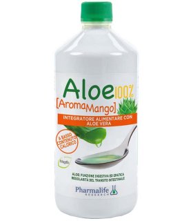 ALOE 100% AROMA MANGO 1LT