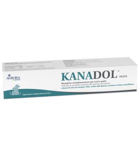 KANADOL Pasta 30 g