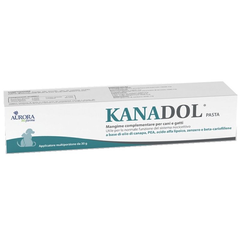 KANADOL Pasta 30 g KANADOL Pasta 30 g