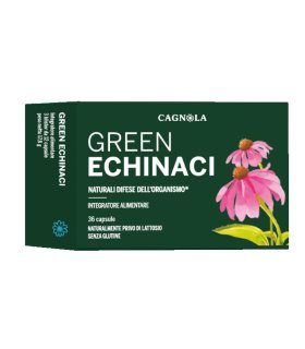 GREEN ECHINACI 36CPS CGN