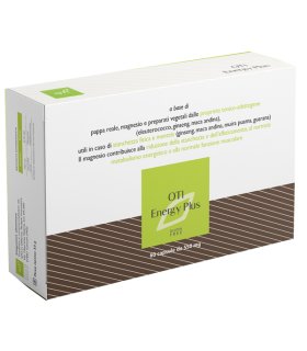 OTI ENERGY Plus 60 Cps